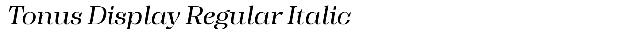 Tonus Display Regular Italic image